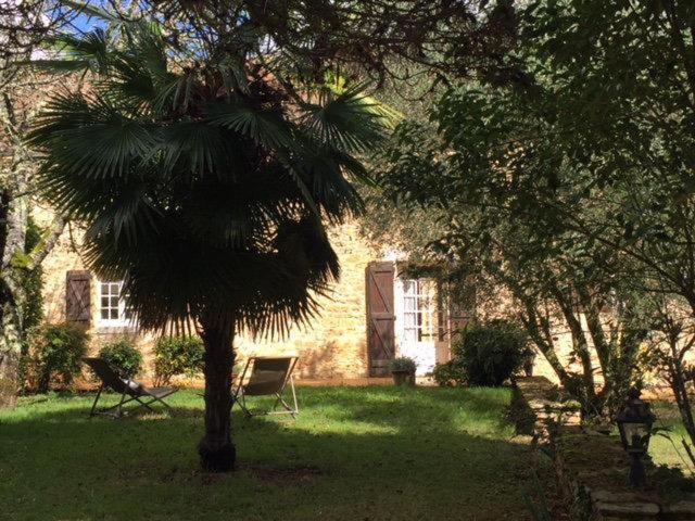 Le Domaine Aubazen Bed and Breakfast La Chapelle-Aubareil Buitenkant foto